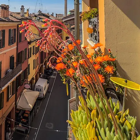 Healthy Flat - Tower Skyline View Apartment *