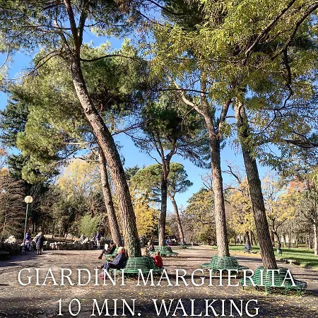 Healthy Flat - Tower Skyline View *
